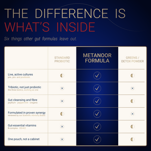 Metanoor Complex