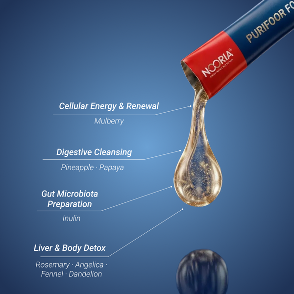 مجموعة أدوات التعافي النفسي